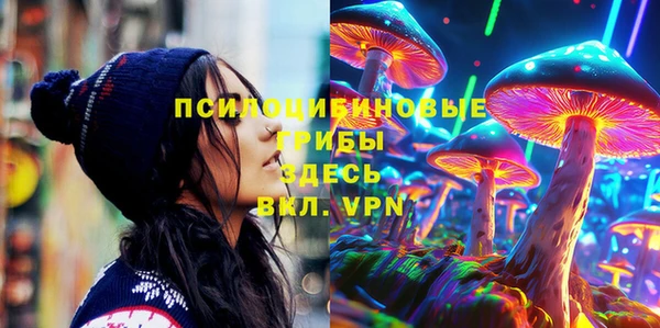 PSILOCYBIN Абдулино