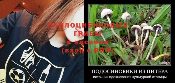 соль курить ск Абаза